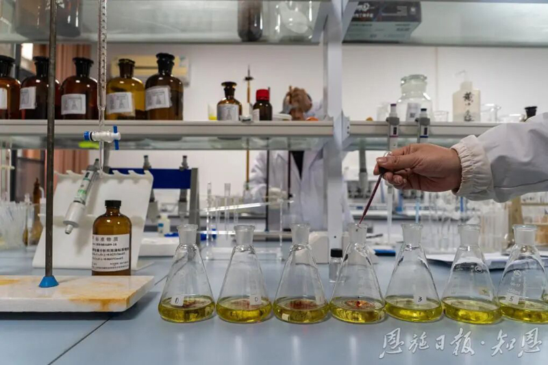 微信图片_20251226164931.jpg 微信图片_20251226164931.jpg