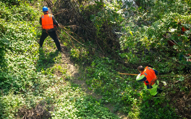 微信图片_20251215143206.jpg 微信图片_20251215143206.jpg