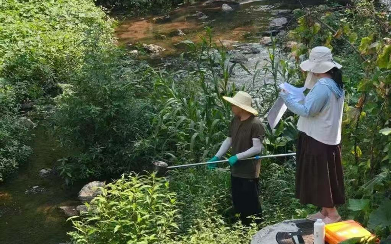 图片9.jpg 图片9.jpg