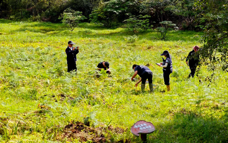 图片13.jpg 图片13.jpg