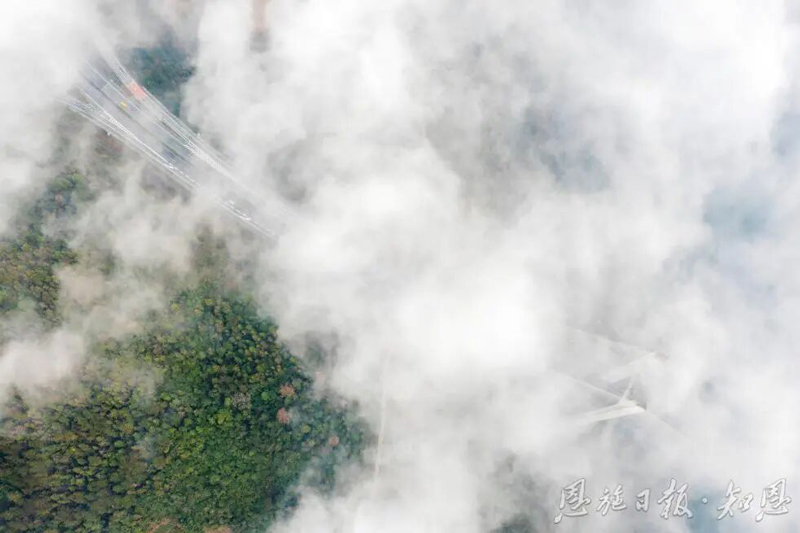 微信图片_20260126101023.jpg 微信图片_20260126101023.jpg