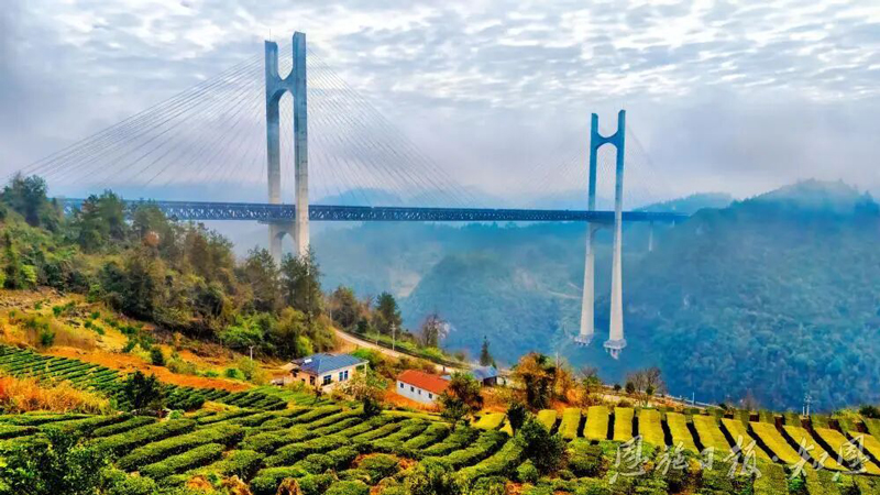 微信图片_20260202172931.jpg 微信图片_20260202172931.jpg